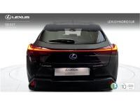 Lexus Ux BUSINESS