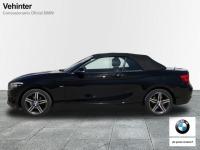 BMW Serie 2 218d Cabrio 110 kW (150 CV)