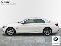 BMW Serie 4 420d Cabrio 140 kW (190 CV)