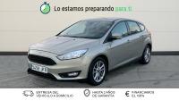 Ford Focus 1.6 TDCi 115cv Trend+