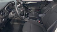 Ford Focus 1.5 Ecoblue 88kW Trend+