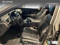 LEXUS Es SEDÁN BUSINESS 2.5 Híbrido Gasolina (218CV) Transm