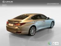 LEXUS Es SEDÁN BUSINESS 2.5 Híbrido Gasolina (218CV) Transm