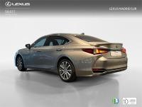 LEXUS Es SEDÁN BUSINESS 2.5 Híbrido Gasolina (218CV) Transm